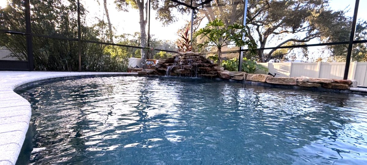 Pool with waterfall in Oldsmar, FL